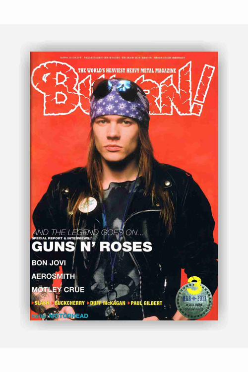 Guns N' Roses Rock Müzik Kağıt Poster - Çerçevesiz