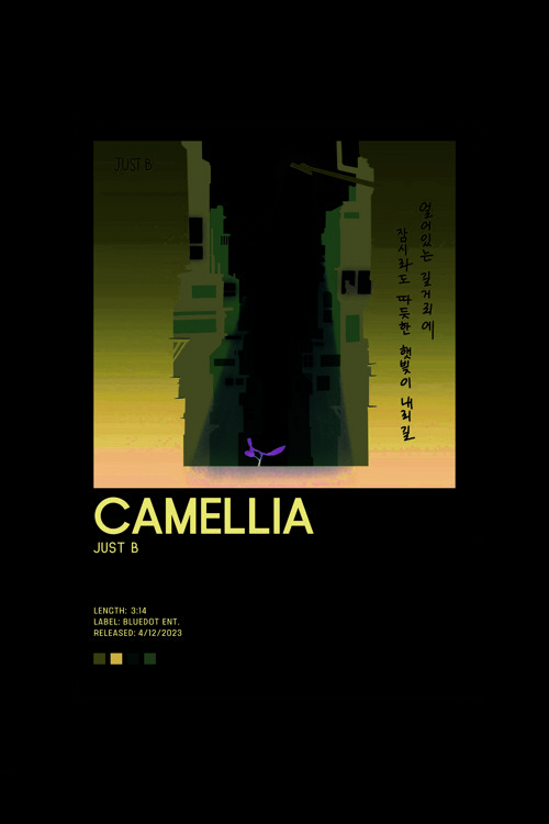 Just B Camellia K-Pop Duvar Posteri - Duvar Dekoru - Kalın Kağıt - Çerçevesiz