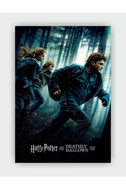 Harry Potter And The Deathly Hallows - Part 1 Film Duvar Posteri - Kalın Kağıt - Çerçevesiz