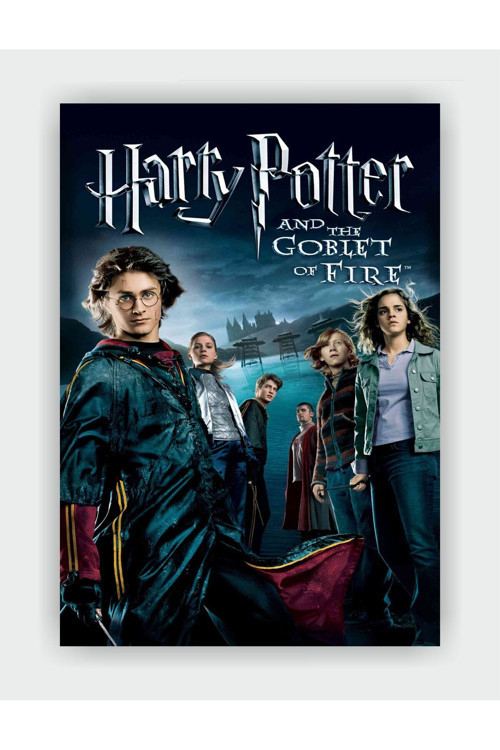 Harry Potter And The Goblet Of Fire Film Duvar Posteri - Kalın Kağıt - Çerçevesiz