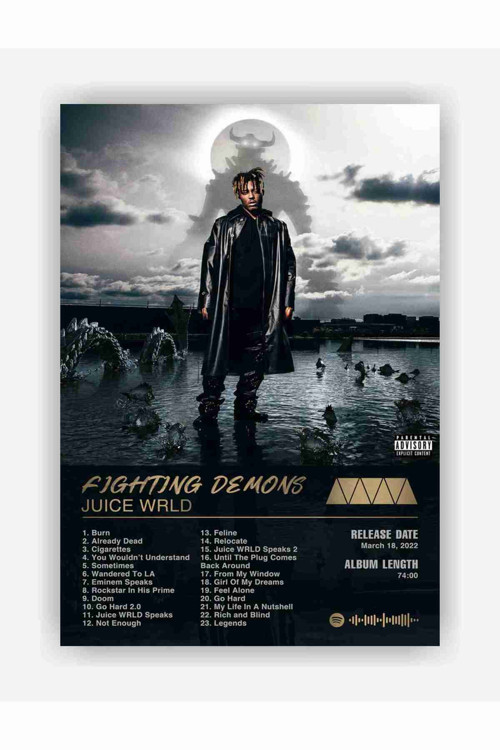 Juice Wrld - Fighting Demons Spotify Kodlu Albüm Duvar Posteri - Kalın Kağıt - Çerçevesiz