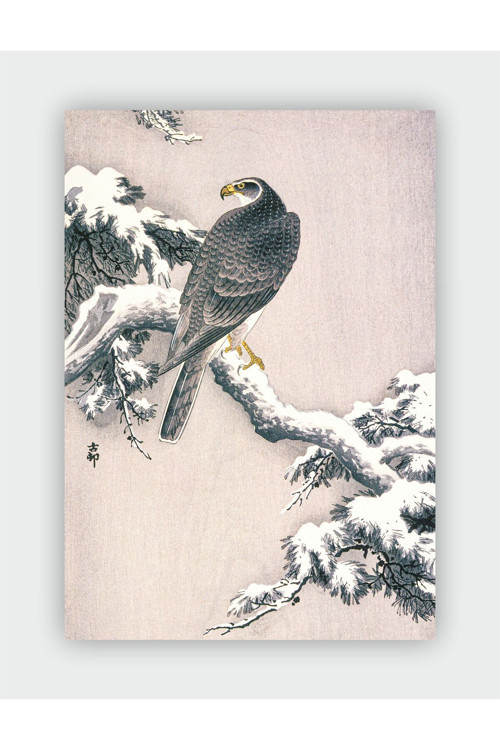 Goshawk On A Snowy Pine Branch Ohara Koson Duvar Posteri - Kalın Kağıt - Çerçevesiz