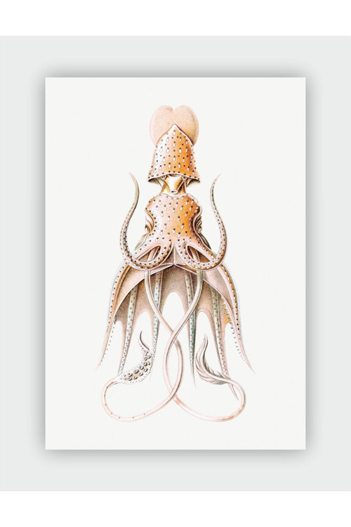 Kunstformen Der Natur Ernst Haeckel Duvar Posteri - Kalın Kağıt - Çerçevesiz