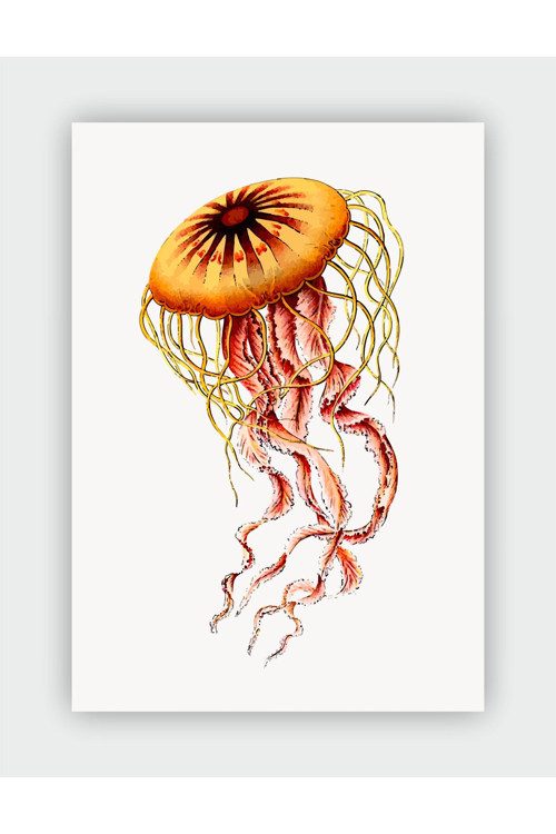 Kunstformen Der Natur Ernst Haeckel Duvar Posteri - Kalın Kağıt - Çerçevesiz