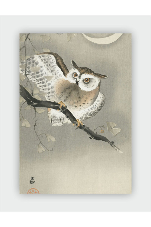 Long - Eared Owl Ohara Koson Duvar Posteri - Kalın Kağıt - Çerçevesiz