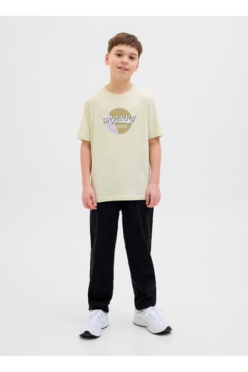 Baskılı Taş Erkek Çocuk T-Shirt 12278350