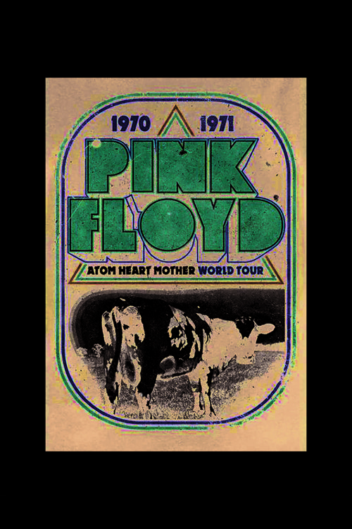 Pink Floyd 1970-1971 Punk Rock Metal Duvar Posteri - Kalın Kağıt - Çerçevesiz
