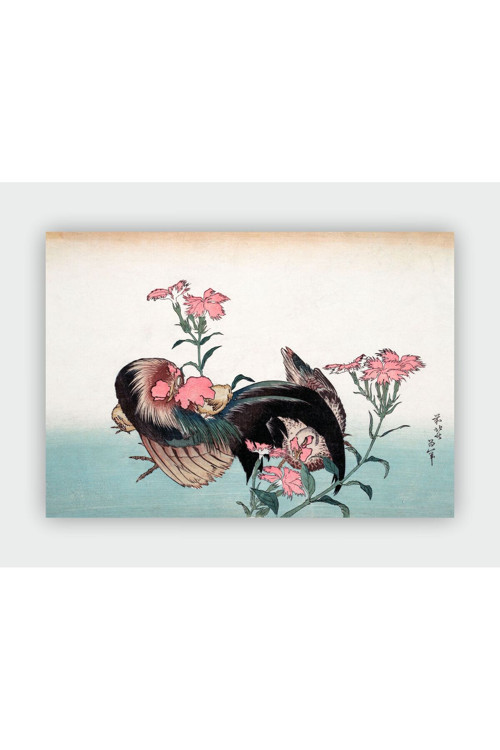 Nadeshiko Dianthus Superbus Katsushika Hokusai Duvar Posteri - Kalın Kağıt - Çerçevesiz