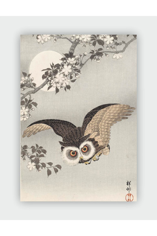 Owl And Cherry Blossom Ohara Koson Duvar Posteri - Kalın Kağıt - Çerçevesiz