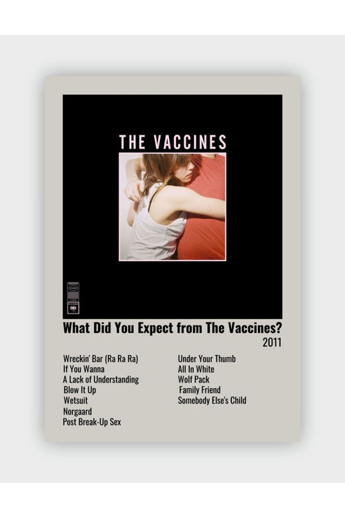 What Did You Expect From The Vaccines? Duvar Posteri - Duvar Dekoru - Kalın Kağıt - Çerçevesiz
