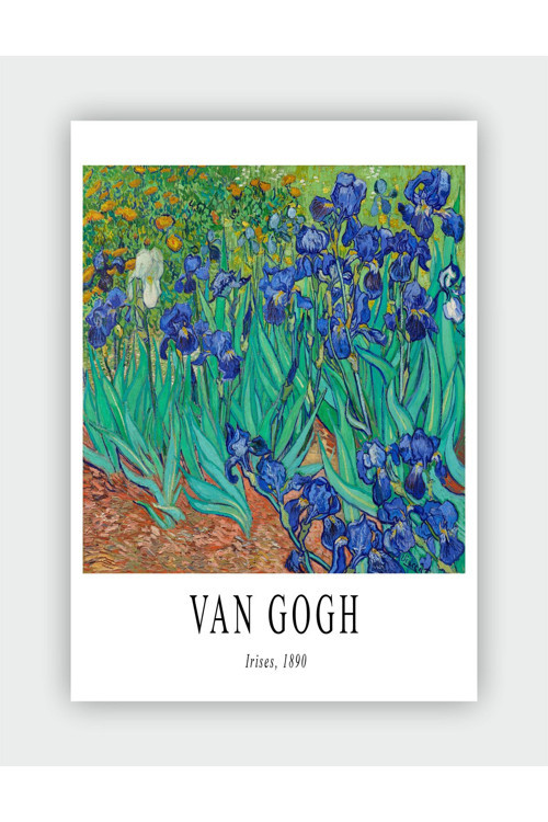 Vincent Van Gogh Irises, 1980 Duvar Posteri - Kalın Kağıt - Çerçevesiz