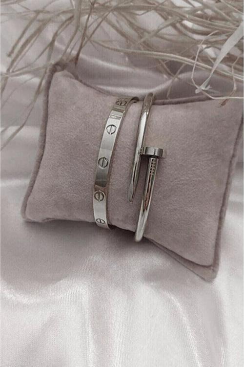 Çivi Ve Cartier Çelik Bileklik Set Gümüş Renk