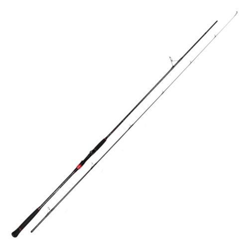 Athen Seabass 2,90m 20-80gr