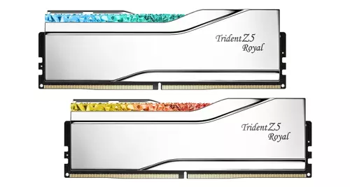 GSKILL Trident Z Royal Silver RGB 48GB (2x24GB) 8400MHz CL40 DDR5 Gaming Ram (F5-8400J4052G24GX2-TR5S)