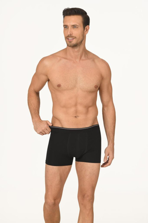 6 Adet Nbb Erkek Modal Boxer 735