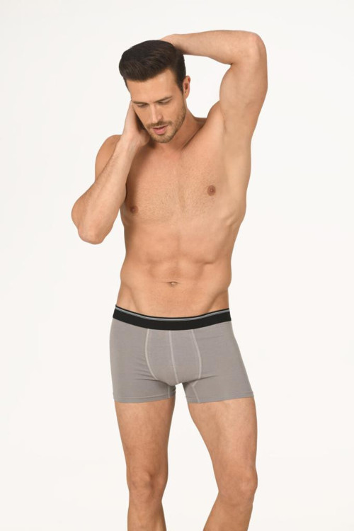 6 Adet Nbb Erkek Modal Boxer 735
