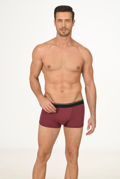 6 Adet Nbb Erkek Modal Boxer 735
