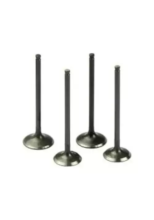 Opel Astra F Corsa B 1.4 DR-C 1.4 SE X1.4SZ Subap Emme Valfi 4'lü Set 38X7X104.6 mm