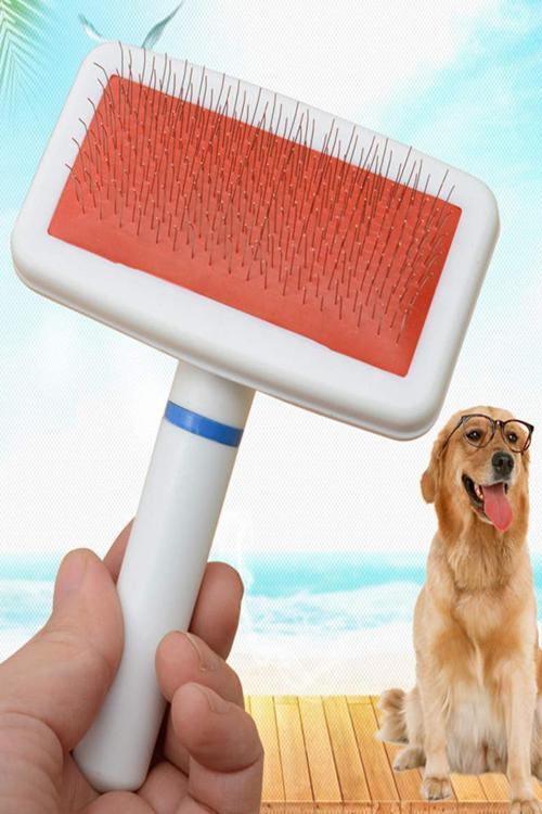 Kedi Köpek Tarağı