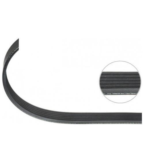 Seat Leon Volkswagen Golf 4 Bora 2.3 V6 2000 Sonrası V Kayışı