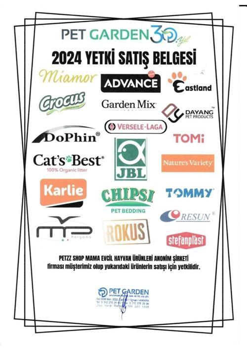 Beeztees Sumo Mini Dentel Kemik İpli Kauçuk Köpek Oyuncağı Yeşil 20 Cm