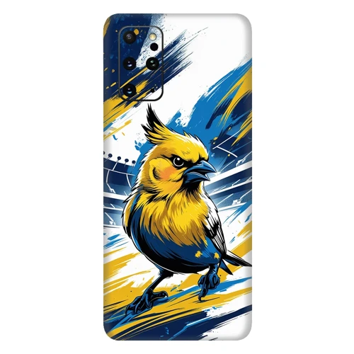 Samsung S20 Takım Kaplamaları