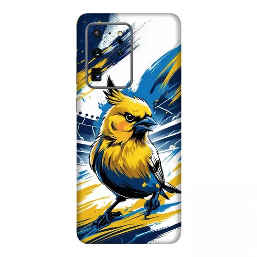 Samsung S20 Ultra Takım Kaplamaları