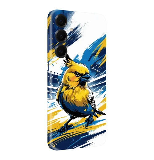 Samsung S25 Takım Kaplamaları