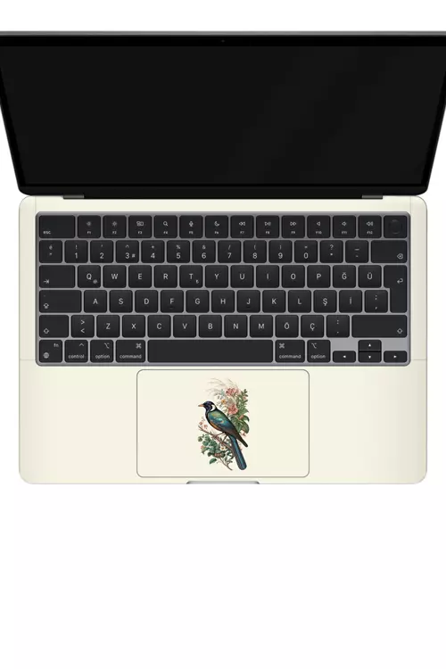 Macbook Air 13" (2022 M2) Kaplama - Saray Kuşu