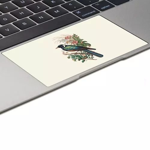 Macbook Pro 13" (2020 M1) Kaplama - Saray Kuşu