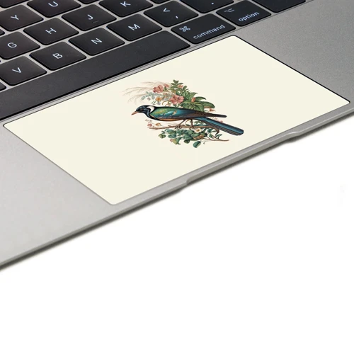 Macbook Pro 15" (2019) Kaplama - Saray Kuşu