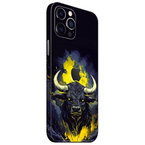 İphone 12 Pro Max Takım Kaplamaları
