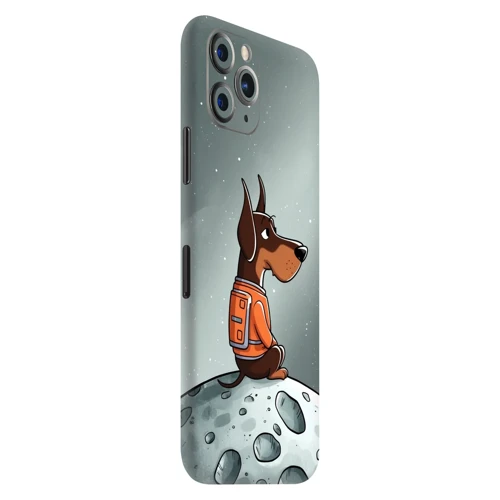 İphone 11 Pro Hayvan Kaplamaları