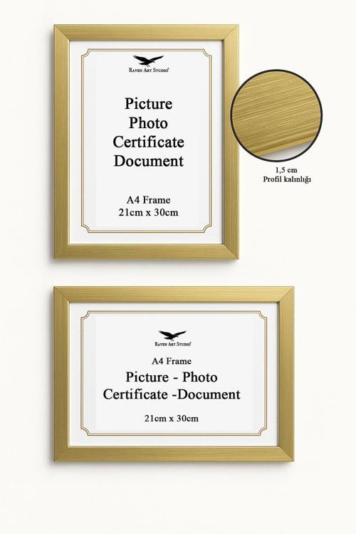 Ermitaj A4 Ebat 21cm x 30cm Resim Fotoğraf Belge Poster Evrak Çerçevesi Korumalı Kırılmaz Pleksi Cam