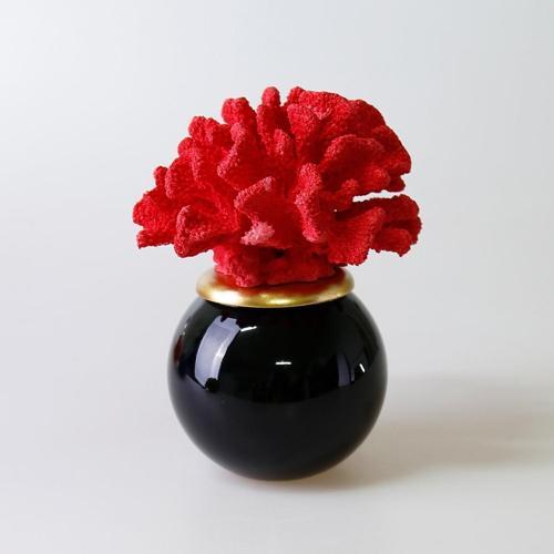 Capella Cam Küp Siyah Kırmızı