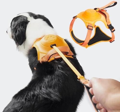 Köpek Tasması Gövdelik Ve Göğüslük Otomatik Toplama Rahat Ve Konforlu Yürüyüş Tasma