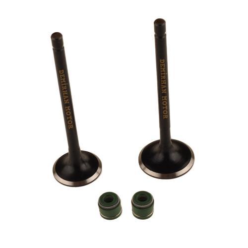 TVS Apache RTR150 Subap Ve Keçe Set İndia