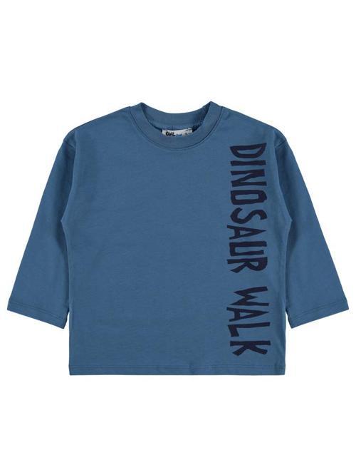 Dinosaur Walk Baskılı 2-5 Yaş Sweatshirt - Mavi5-6 Yaş