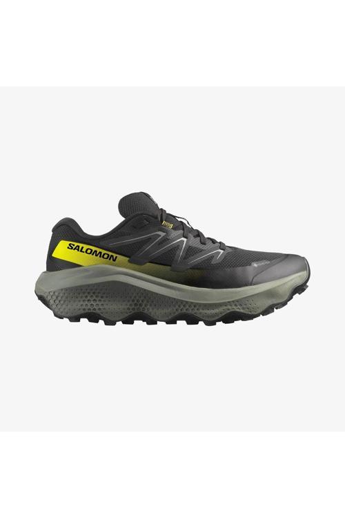 Ultra Flow 2 Gore-Tex Erkek Koşu Ayakkabısı Black L47883200