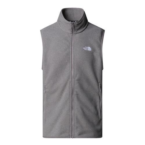 Erkek Glacıer Fleece Polar Yelek NF0A8DQNCQI1