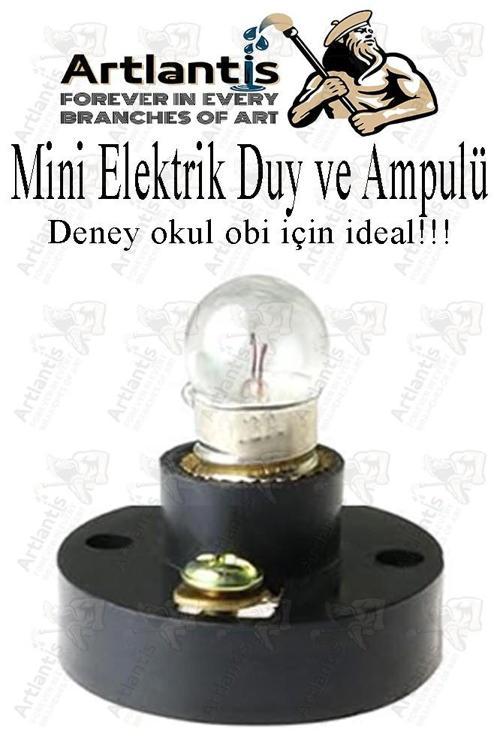 Mini Duy ve Mini Ampul 1 Adet Elektrik Deney Duyu ve Ampulü 2.5 V Amup Yuvası Devre Proje Etkinlik Okul Sınıf
