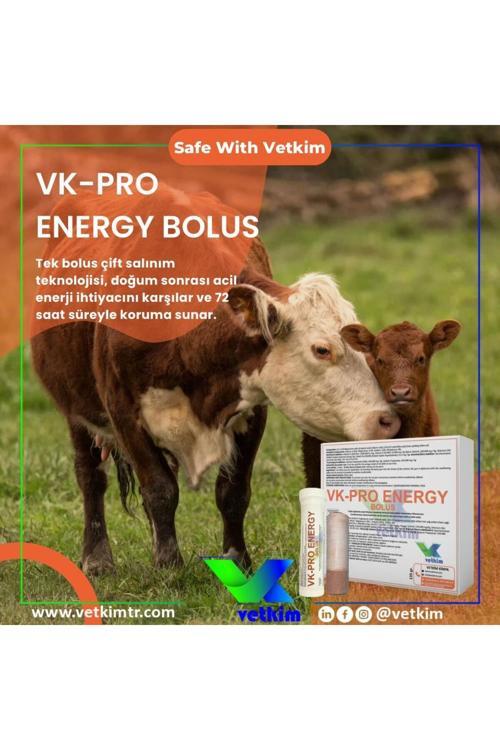 Vk-Pro Energy Bolus - 2 Adet 135 Gr