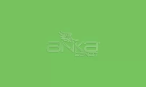 Art&Graphic Polychromos Artist Kuru Boya Kalemi 166 Grass Green