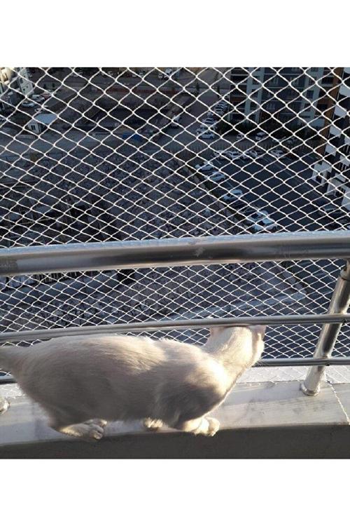 Kedi Filesi 2,50 X 21 Metre Kedi Koruma Filesi Kuş Filesi Balkon Filesi 1 Mm Kedi Güvenlik Filesi