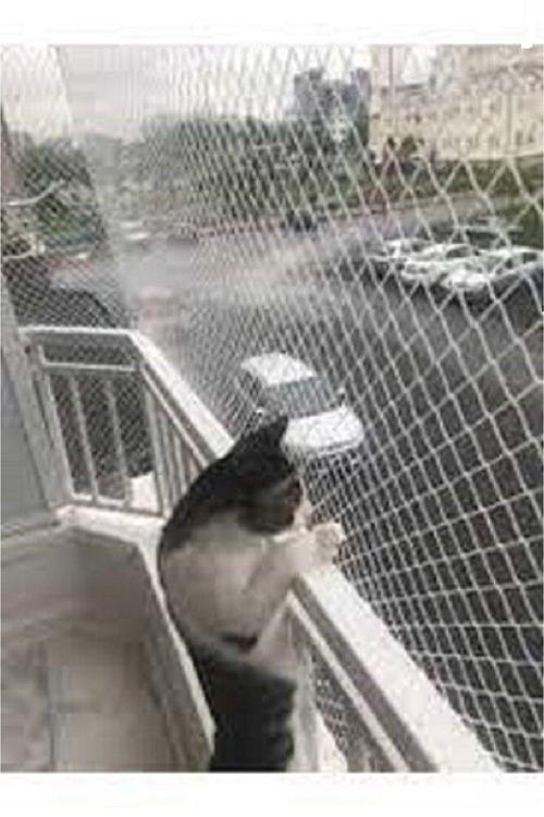2,50X7 Metre Kedi Filesi Balkon Filesi Sık Dokuma Kalın kuş filesi 2 MİLİM