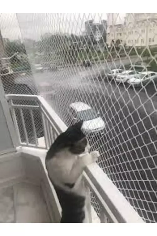 2,50 X 9 Balkon Kedi Koruma Ağı Balkon Kedi Güvenlik Filesi Balkon Kapatma Ağı Kuş Önleme 