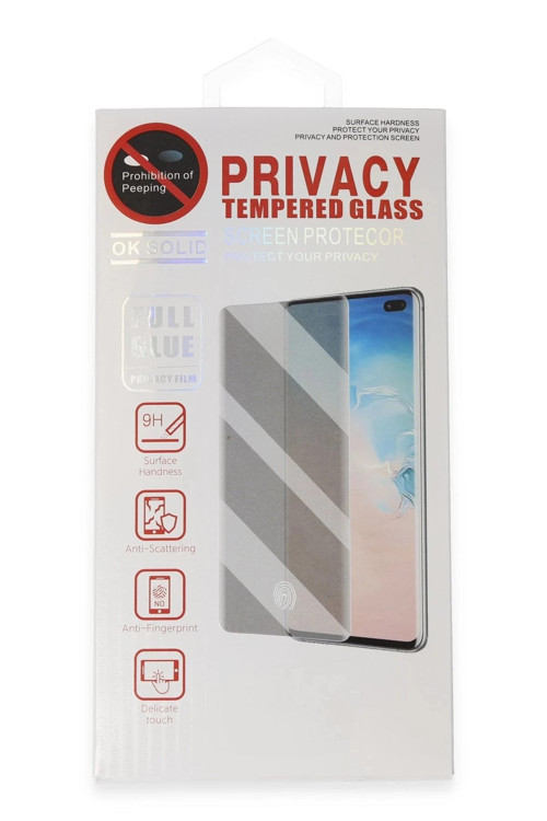 Samsung Galaxy S22 Plus Hayalet Edge Cam Ekran Koruyucu-(5796)