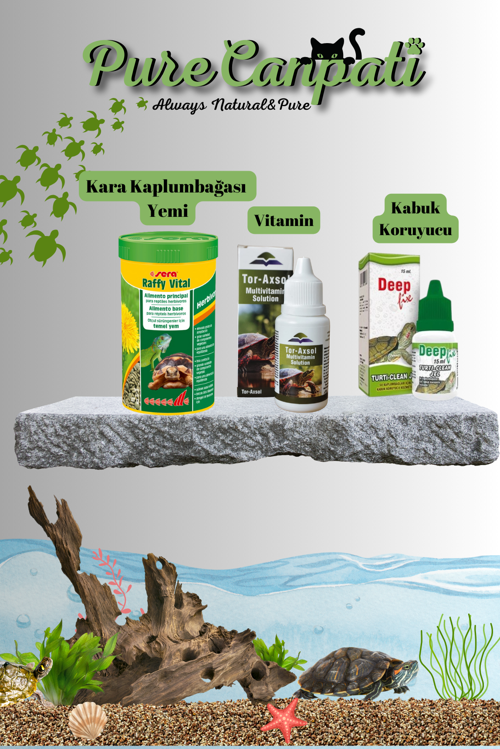 Sera Raffy Vital Kara Kaplumbağa Yemi + Tor-Axsol Vitamin + DeepFix Kabuk Koruyucu Seti