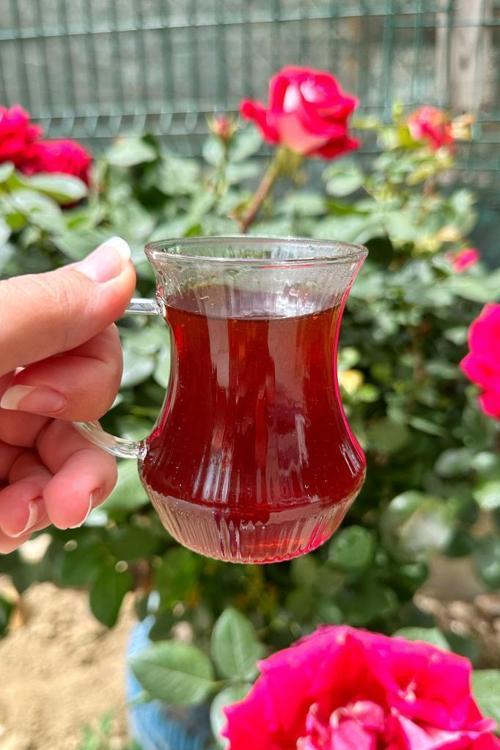6 Kişilik Borosilikat Çizgili Cam Çay Bardağı Çay Bardağı