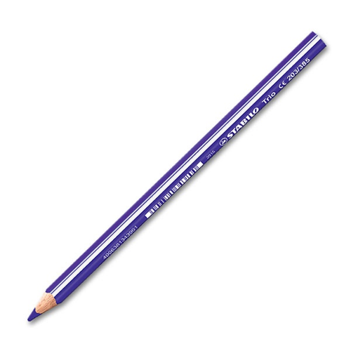203 TRİO THİCK JUMBO KURU BOYA 385 MOR